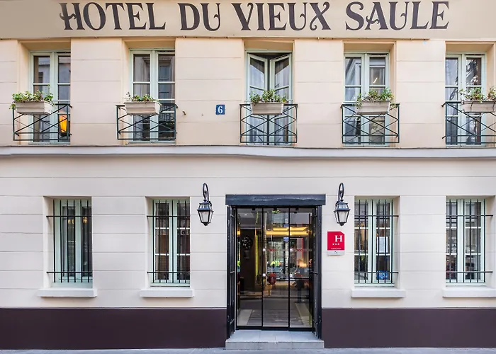 Hotel Du Vieux Saule 3*