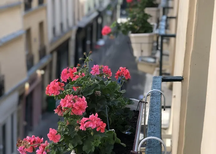 Du Vieux Saule Parijs