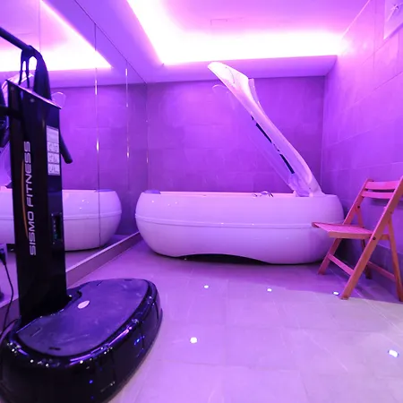 Du Vieux Saule 3* باريس