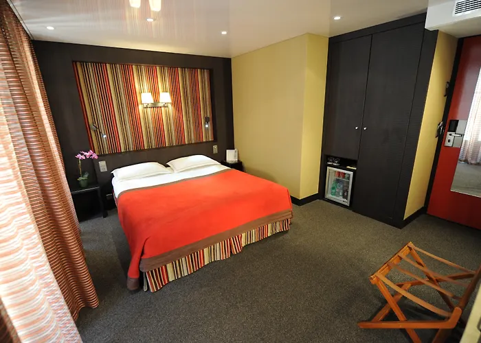 Hotel Du Vieux Saule