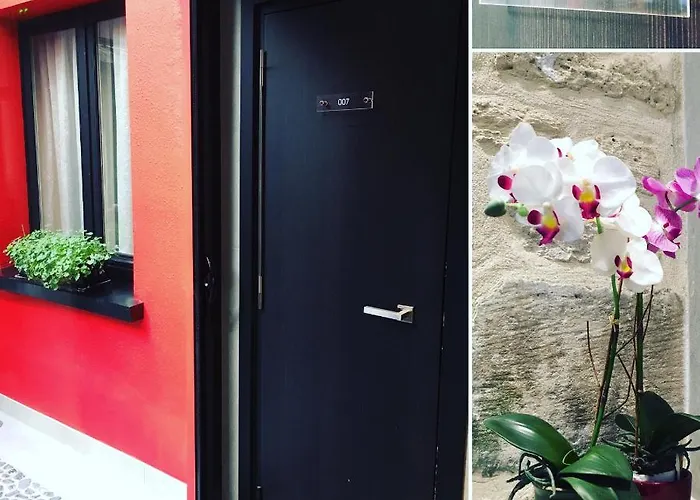 Du Vieux Saule Parigi