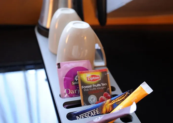 Hotel Du Vieux Saule 3*