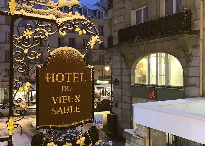 Du Vieux Saule