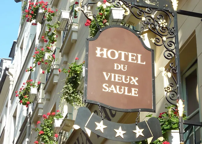 Du Vieux Saule 3* París