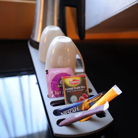 מלון Du Vieux Saule 3*